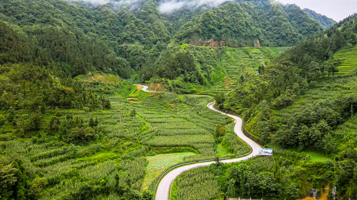 Đèo Cán Tỷ.jpg